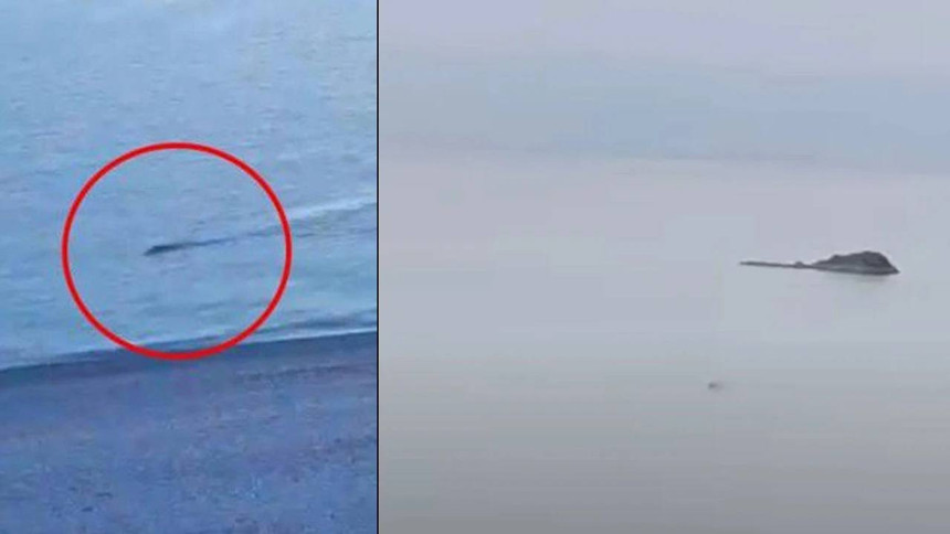 Van Gölü Canavarı geri döndü! Gizemli varlığın yeni görüntüleri ortaya çıktı