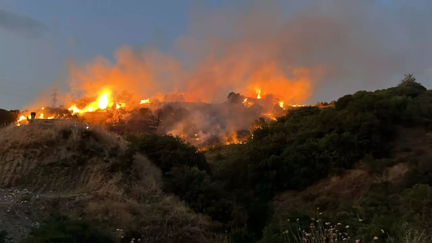 Komandolar alarma geçti: 50 bin fazla kişi tahliye edildi! - Resim : 6