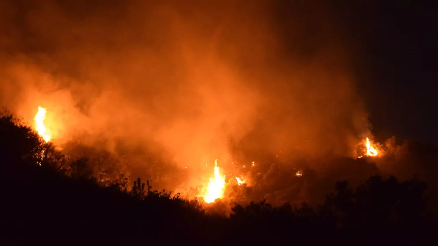 Tarım ve Ormanı Bakanı İbrahim Yumaklı açıkladı: 4 ilimizden ciğerimizi yakan haber! - Resim : 6