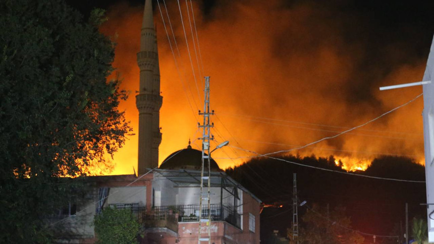 Orman yangınlarının tamamı söndürüldü: Son 10 günde 761 yangın çıktı, korkunç bilanço, acı gerçek