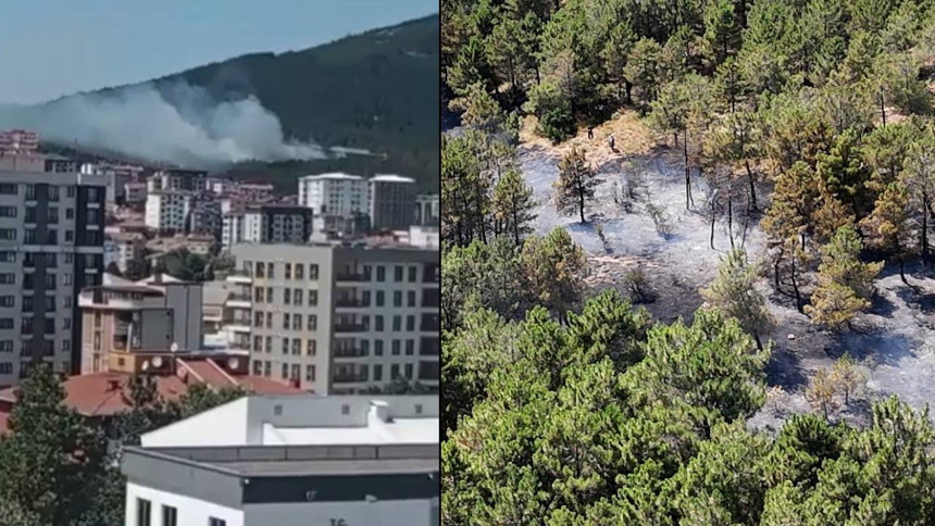 Aydos Ormanı’nda korkutan yangın! Alevler büyümeden kontrol altında