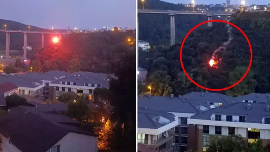 Beykoz'da orman yangını! Yanıcı maddeyi attığı tespit edilen o kişi gözaltına alındı