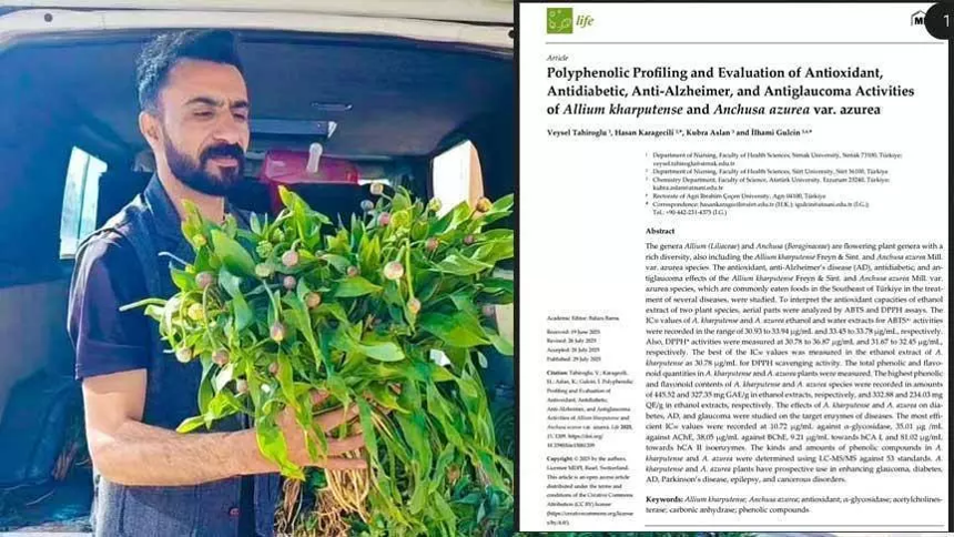 Şırnak'ta keşfedildi, 3 ölümcül hastalığa karşı son derece etkili!