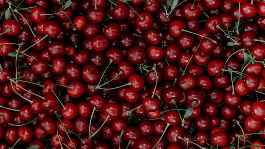 Temmuz ayında fiyatı en çok düşen ürün karpuz oldu