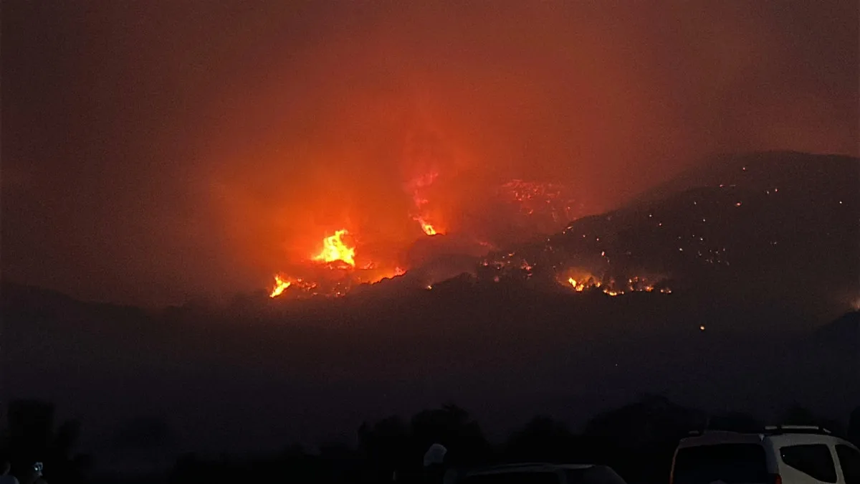Çanakkale Gelibolu’da orman yangını: Vatandaşlar tahliye ediliyor! - Resim : 2