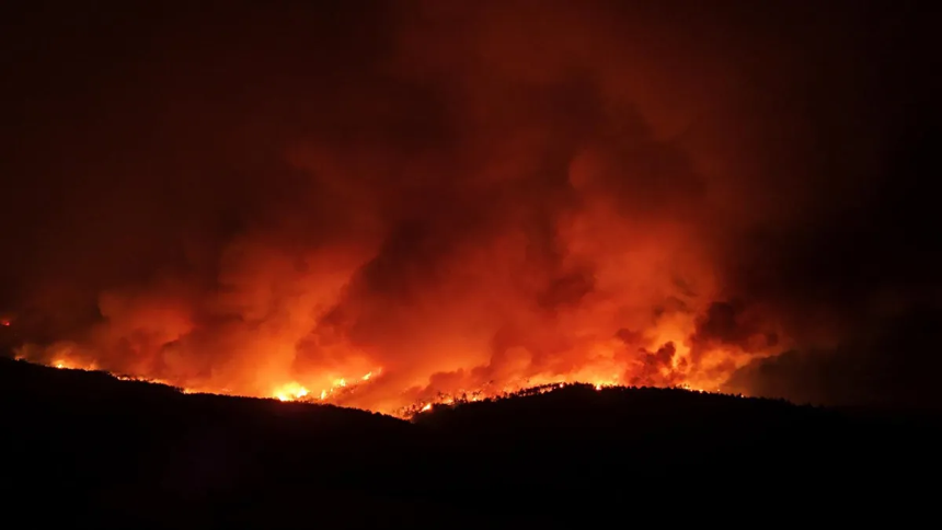 Çanakkale Gelibolu’da orman yangını: Vatandaşlar tahliye ediliyor! - Resim : 4