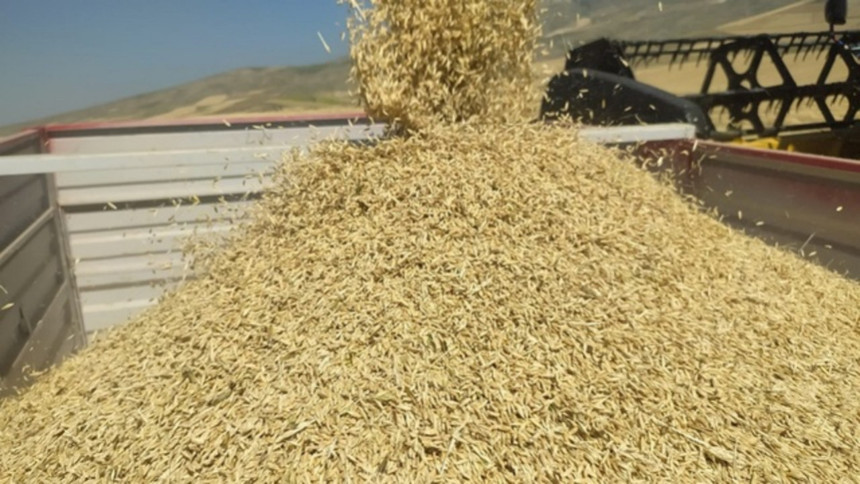 TMO’nun tarım ürünleri ithalatına yönelik yeni düzenlemeler yürürlükte