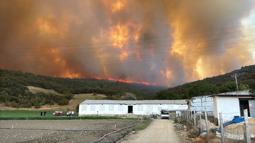 Bursa'da ormanlık alanda yangın çıktı! Alevler bir anda yükseldi! - Resim : 6