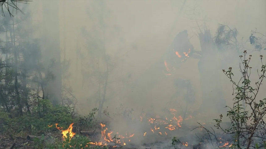 Karabük'te orman yangını çıktı! Yerleşim yerleri tehdit altında! - Resim : 2