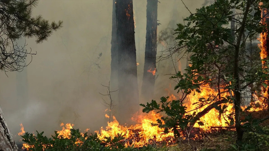 Karabük'te orman yangını çıktı! Yerleşim yerleri tehdit altında!