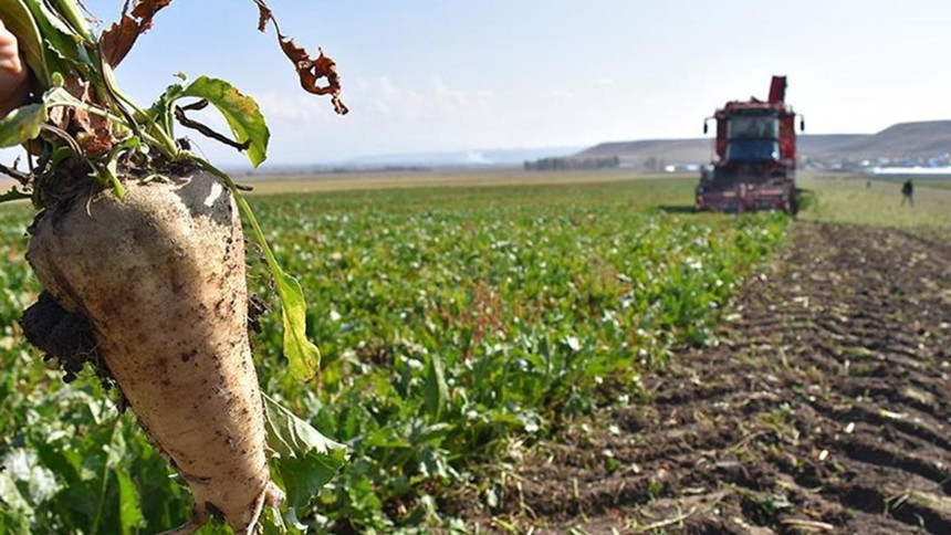 Küresel gıda savaşı kapıda! ABD formül değişikliğiyle strateji kuruyor - Resim : 5