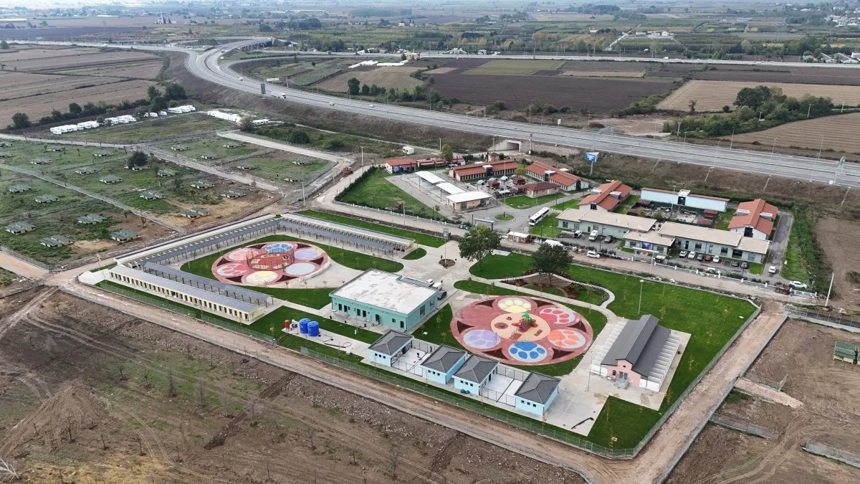 Sokak hayvanları sorununa ilk ve örnek adım Sakarya’dan geldi! Başkan Yusuf Alemdar detayları paylaştı... - Resim : 3