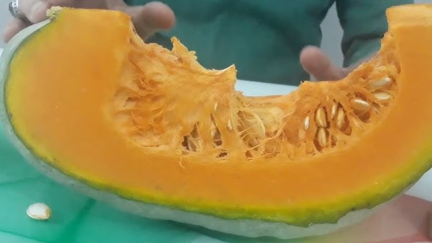 Bal kabağı pratik ve kolay soyuluyor! Afyonkarahisarlı köylülerin uyguladığı teknikmiş