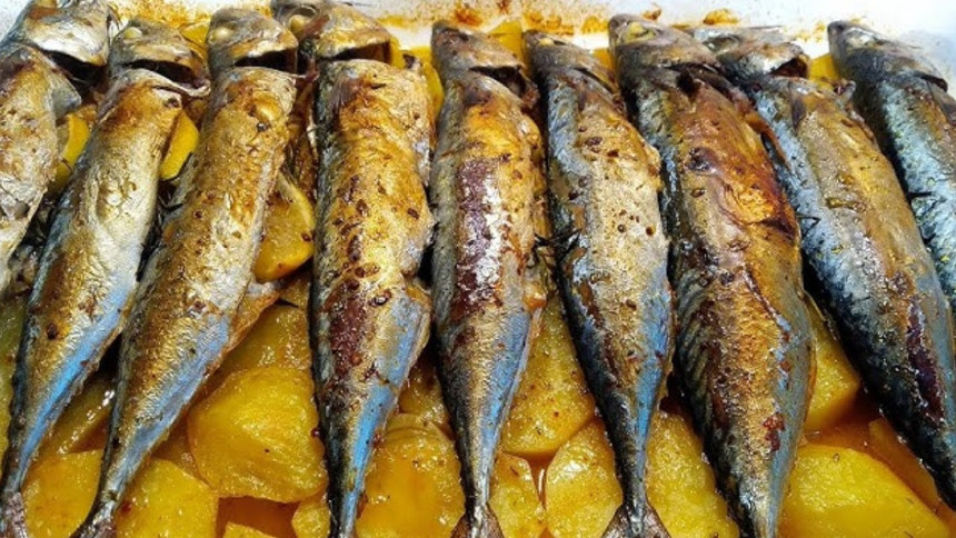 45 yıllık balıkçı üstüne basa basa söyledi! Bu 2 balıkta somondan daha çok omega-3 var.