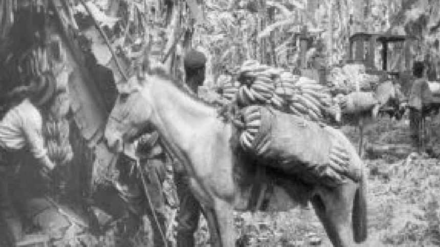 Meksika’dan Venezuela’ya... Trump’ın yolunu açtığı tarih: ABD’nin 200 yıllık darbe geleneği - Resim : 2