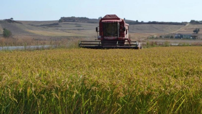 Tarım ÜFE'de 4 ayın en yüksek artışı! Aylık %6,91, yıllık %31,54 yükseldi