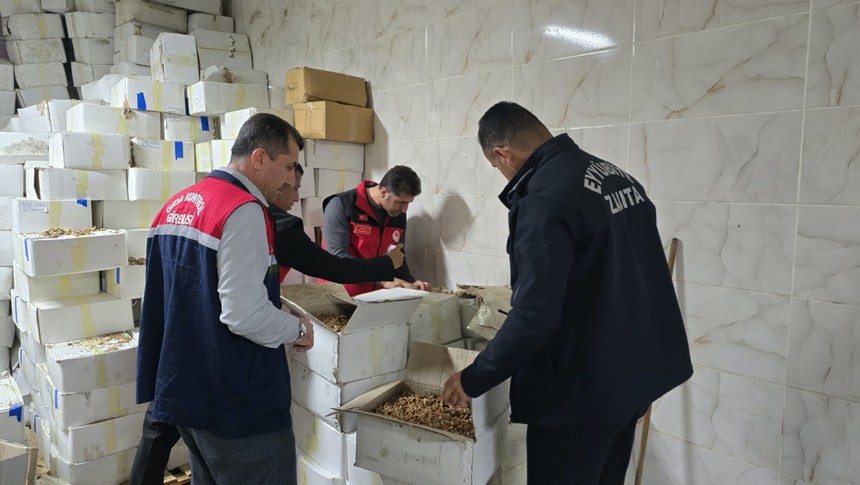 Baklavada kullanacaklardı! Şanlıurfa'da 11 ton küflenmiş ve kurtlanmış ceviz ele geçirildi