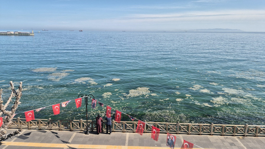 Tekirdağ’da korkutan görüntü: Marmara Denizi’nde müsilaj benzeri beyaz tabaka!