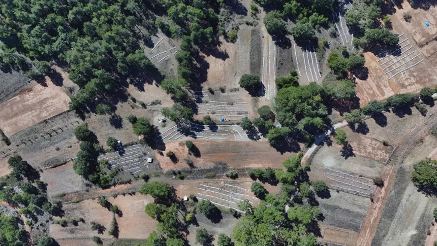 Türkiye, çam balında dünya lideri! Muğla’dan rekor üretim - Resim : 2