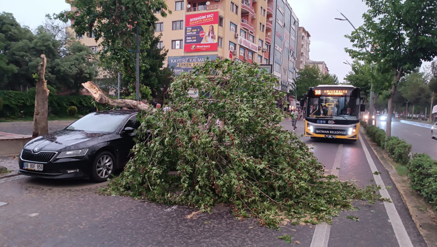 Batman’da şiddetli rüzgar faciadan döndü: Ağaç aracın üzerine devrildi