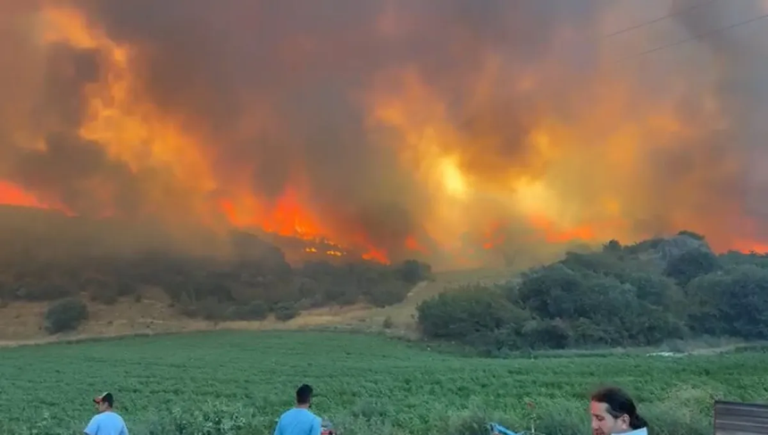 Bursa'da ormanlık alanda yangın çıktı! Alevler bir anda yükseldi!