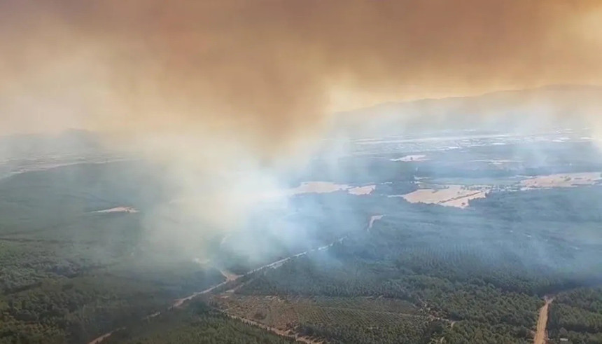 İzmir'in dört bir yanı yanıyor: Alevler her yanı sardı! - Resim : 8