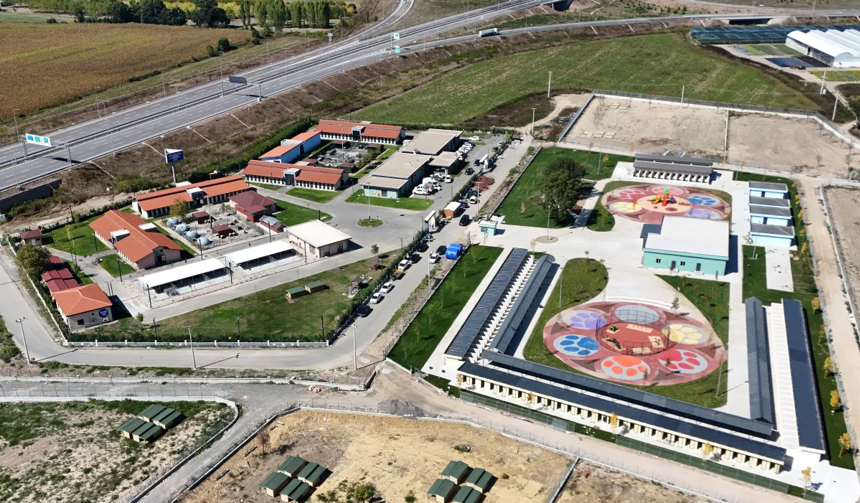 Sokak hayvanları sorununa ilk ve örnek adım Sakarya’dan geldi! Başkan Yusuf Alemdar detayları paylaştı... - Resim : 2