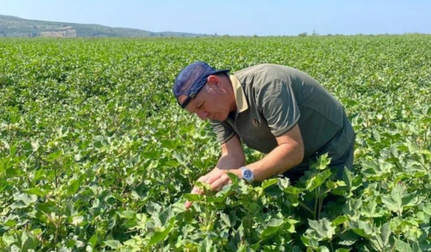 Uzmanlar yeraltı su kaynaklarının sürdürülebilirliği için soya ekimi çağrısı yapıyor