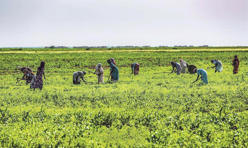 Küresel gıda savaşı kapıda! ABD formül değişikliğiyle strateji kuruyor - Resim : 3