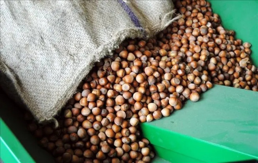 Rekabet Kurumu’ndan Ferrero’ya sert çıkış! Türkiye’yi suçlayarak prestij devşirilemez