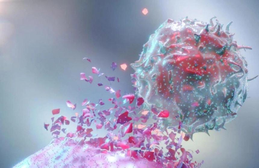 500 milyon yıllık evrimi saatler içinde hesapladı kanser için yeni ilaçların kapısını araladı! İşte yapay zekanın faydaları