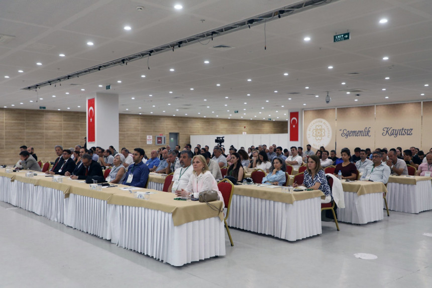 Çare bulamayınca domuzlarla selfie moda oldu... Şehir merkezlerine kadar iniyorlar - Resim : 2