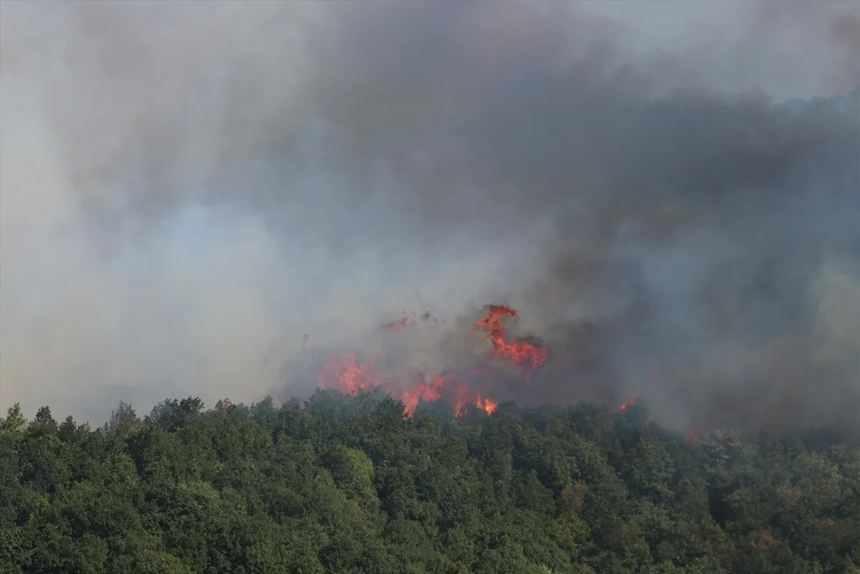 Kocaeli'de orman yangını: Alevler köylere doğru ilerliyor! - Resim : 4