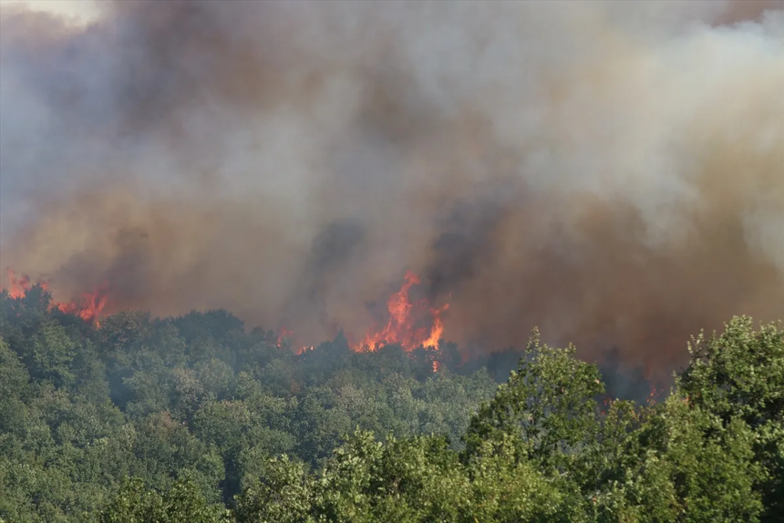 Kocaeli'de orman yangını: Alevler köylere doğru ilerliyor! - Resim : 5
