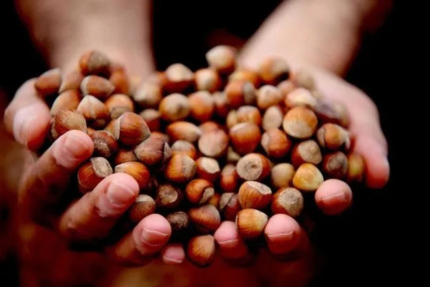 Rekabet Kurumu’ndan Ferrero’ya sert çıkış! Türkiye’yi suçlayarak prestij devşirilemez - Resim : 2