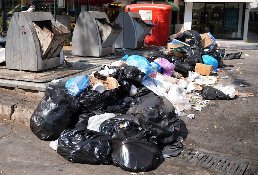 İzmir'de çöp dağları isyan ettirdi! Her yeri böcekler sardı! - Resim : 2