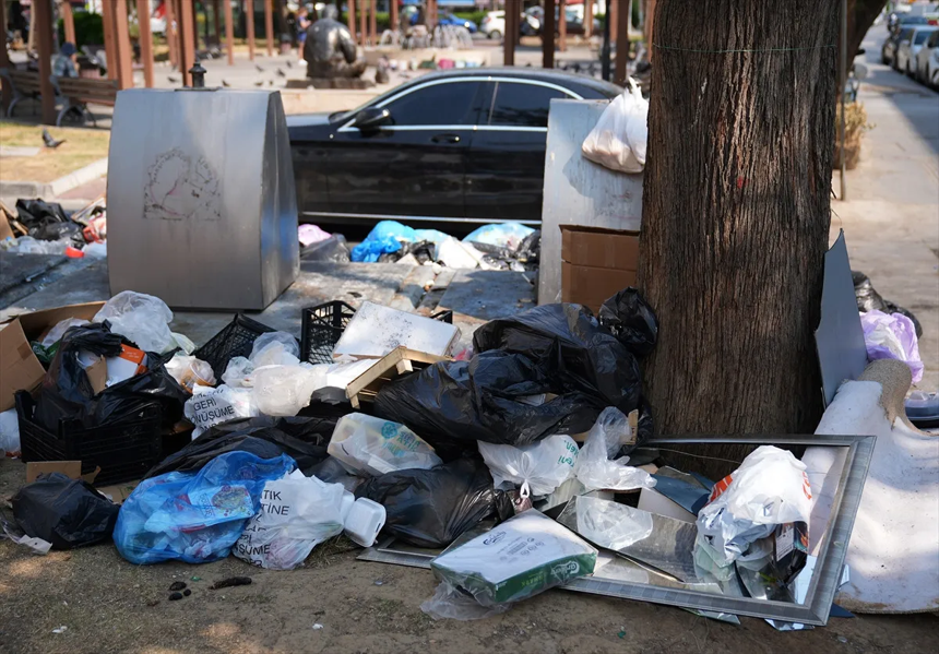 İzmir'de çöp dağları isyan ettirdi! Her yeri böcekler sardı! - Resim : 4
