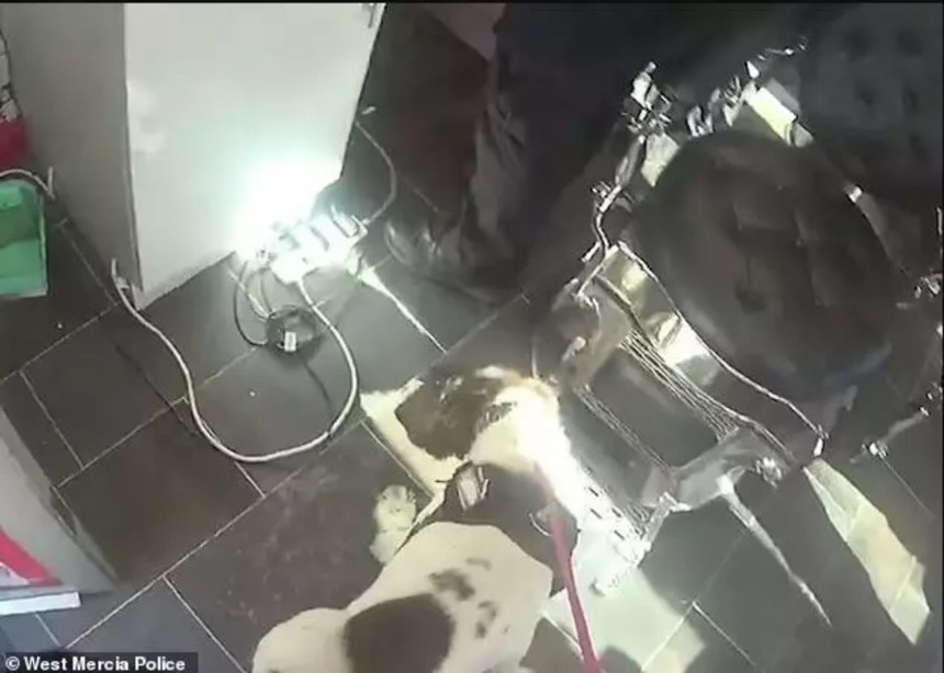 İngiltere'de Türk berberlerine kara para baskını - Resim : 2