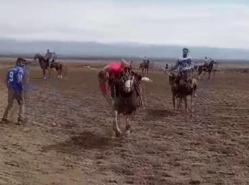 Tecrübeli ciritçi Adem Geyik atının üstünde kalp krizi geçirip hayatını kaybetti