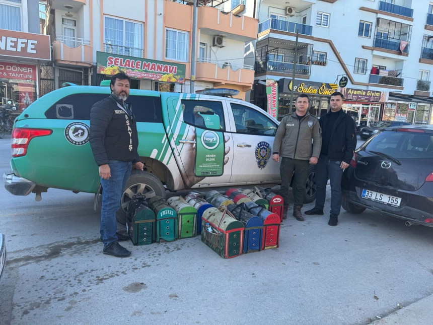 Mersin'de horoz dövüştürenlere 1.2 milyon TL ceza! 21 horoz koruma altına alındı - Resim : 2