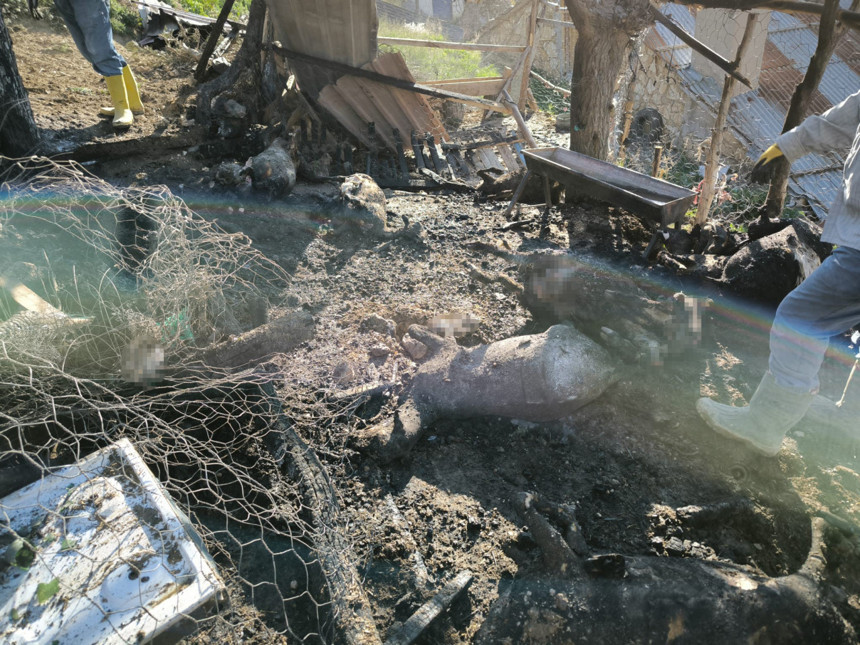 Karaman’da ağıl yangını! 11 küçükbaş hayvan telef oldu! Kundaklama şüphesi var - Resim : 2