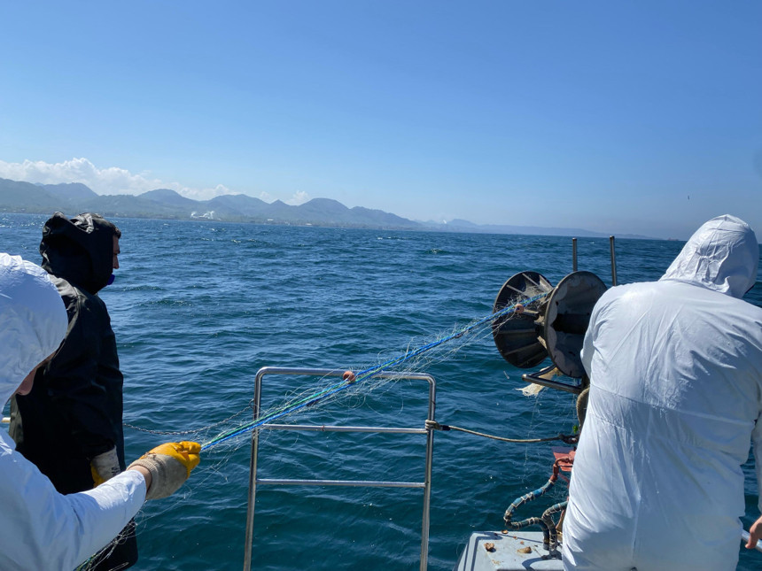 Kalkan balığı av yasağına uymadılar: Ordu'da 500 metrelik kaçak ağ ele geçirildi