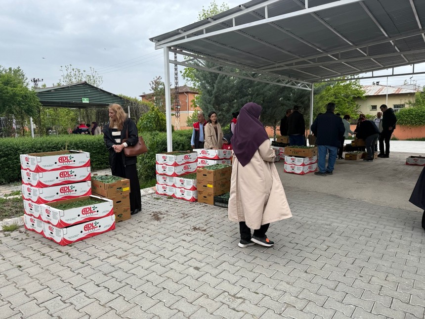 Iğdır’da kadın çiftçilere fide müjdesi! Toprağın bereketi artıyor - Resim : 2