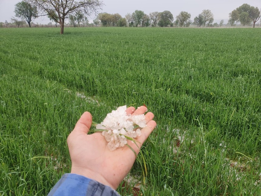 Tarlaları dolu vurdu, Güneyli çiftçilerin umudu gelecek yıla kaldı