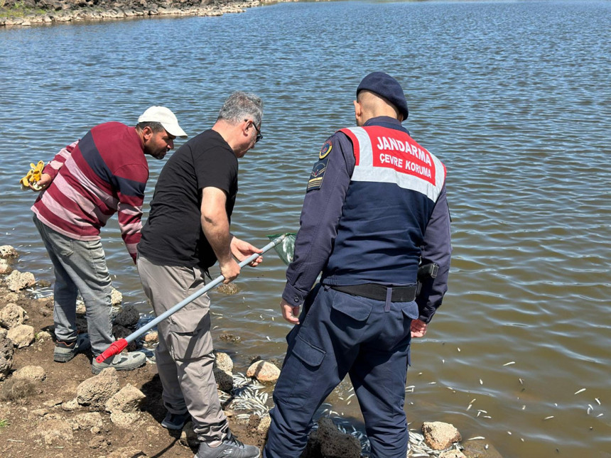 Diyarbakır’da çevre alarmı! Göletteki balık ölümleri için kapsamlı inceleme başlatıldı