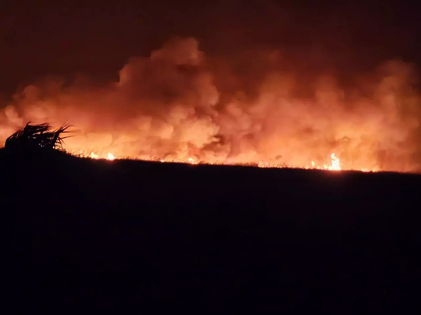 Koruma altında bulunan Göksu Deltası'nda korkutan yangın! - Resim : 2