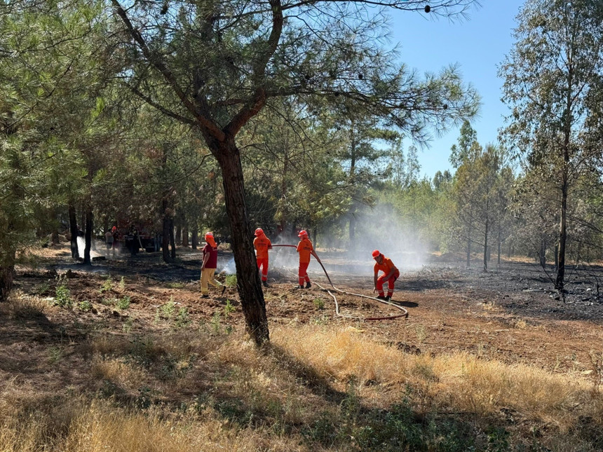 Buca'da kahraman ormancılar alev kapanına girdi! Arazözün içinde can pazarı - Resim : 3