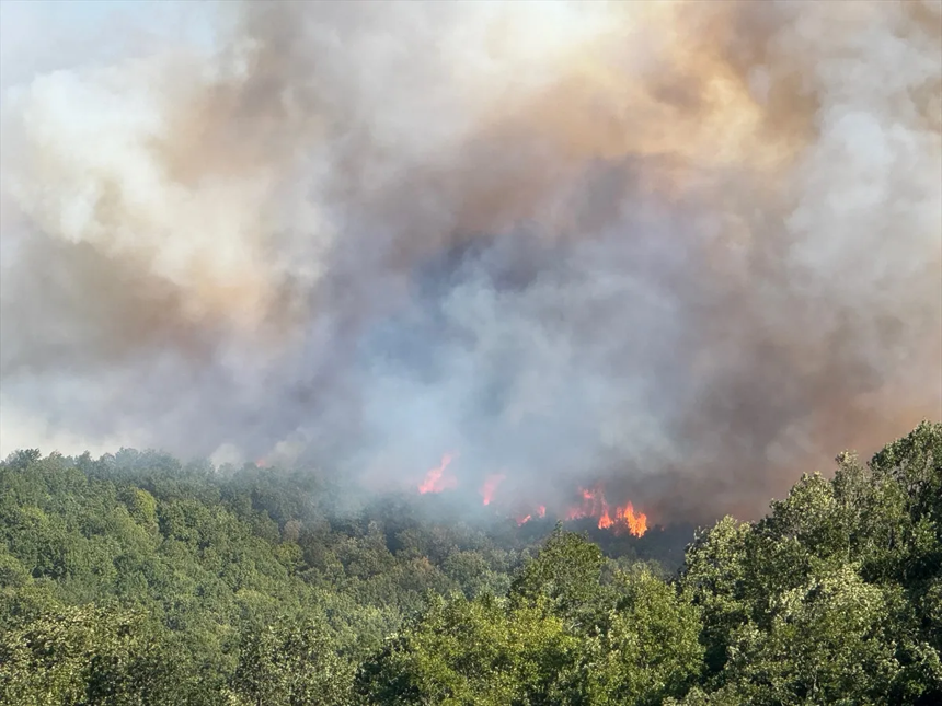 Kocaeli'de orman yangını: Alevler köylere doğru ilerliyor! - Resim : 3
