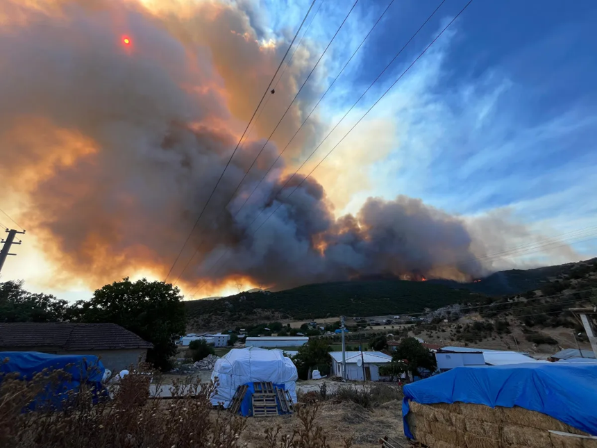 Bursa'da ormanlık alanda yangın çıktı! Alevler bir anda yükseldi! - Resim : 4