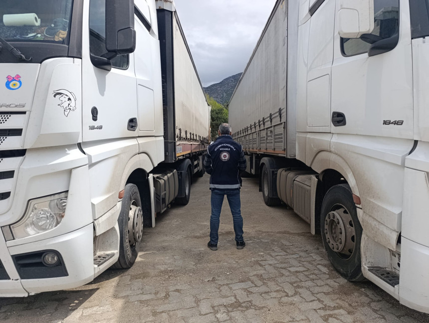 Afganistanlı kaçak göçmen taşıyan TIR şoförü 2 kardeş tutuklandı